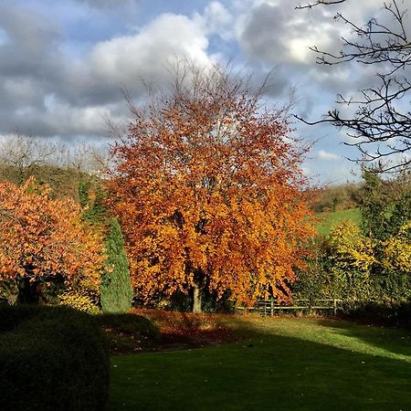 Valley View Farm, Batcombe Bed & Breakfast Shepton Mallet Bagian luar foto