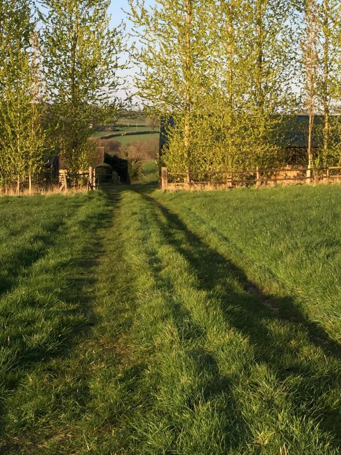 Valley View Farm, Batcombe Bed & Breakfast Shepton Mallet Bagian luar foto